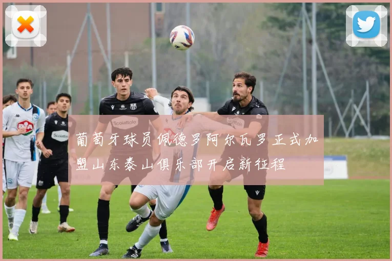 葡萄牙球员佩德罗阿尔瓦罗正式加盟山东泰山俱乐部开启新征程