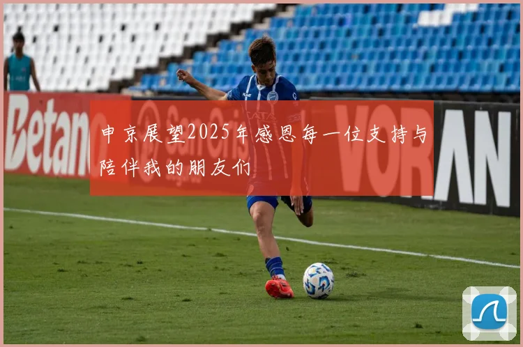 申京展望2025年感恩每一位支持与陪伴我的朋友们