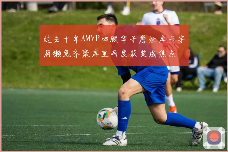 过去十年AMVP回顾华子詹杜库卡字眉獭兔齐聚库里两度获奖成焦点