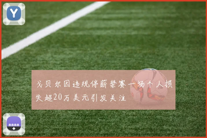 戈贝尔因违规停薪禁赛一场个人损失超20万美元引发关注