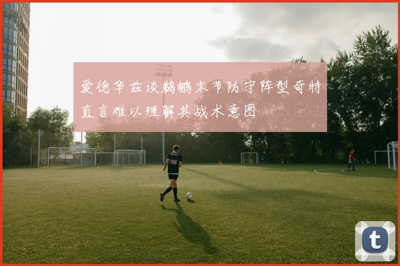爱德华兹谈鹈鹕末节防守阵型奇特直言难以理解其战术意图